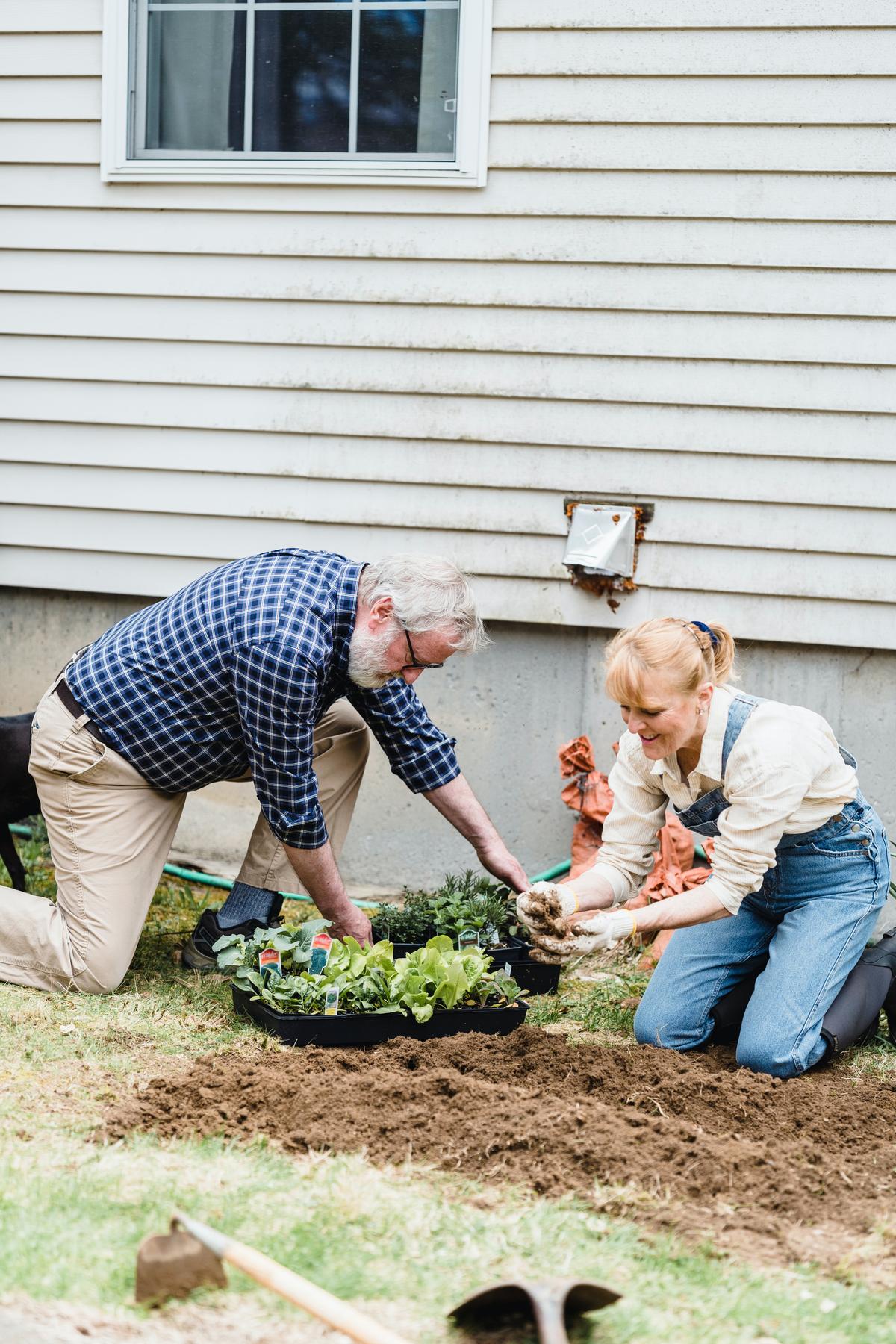 Before planting your garden, consider which plants would make good neighbors. (Greta Hoffman/Pexels)