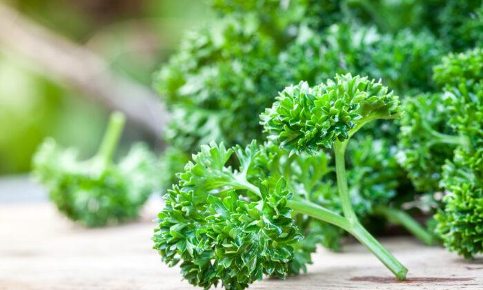 The Pleasures of Curly Parsley