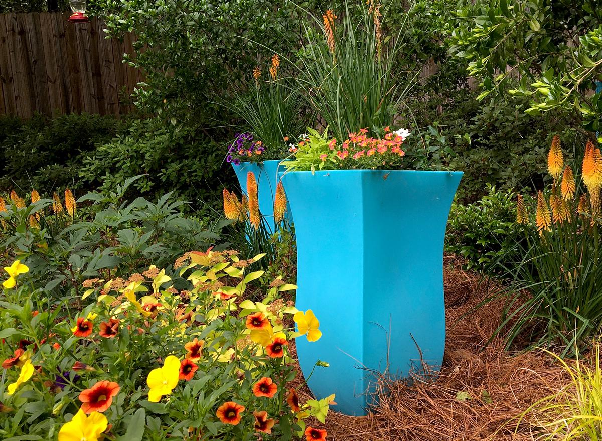 The spring of 2021 three aqua blue pots were planted and positioned on a hillside overlooking The Garden Guy’s backyard. (Photo courtesy of Norman Winter/TNS)