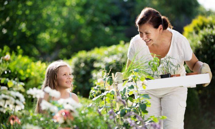 Herb Gardening Is a Perfect Project for Beginners