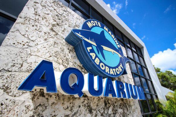 Mote Marine Laboratory and Aquarium in Sarasota, Fla. (Courtesy, Mote Marine/Facebook)