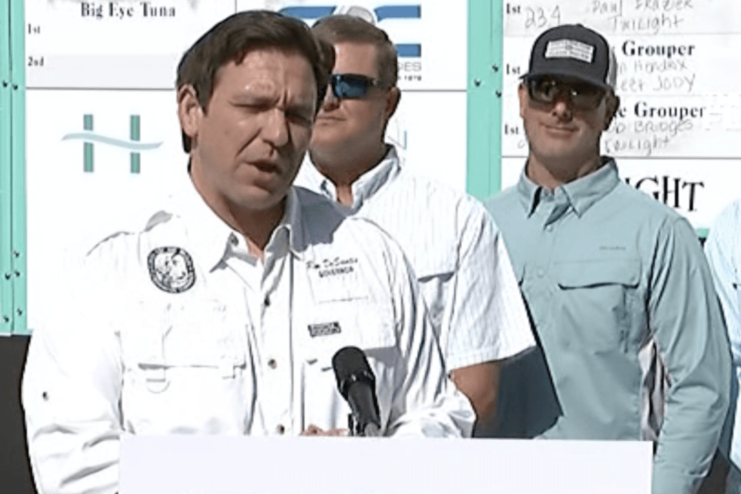 DeSantis Vetoes Everglades Bill Over Concerns of Wetland Destruction