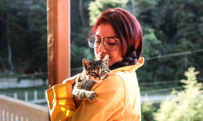 Personality Shapes Interest in Stress Relief Events With Cats