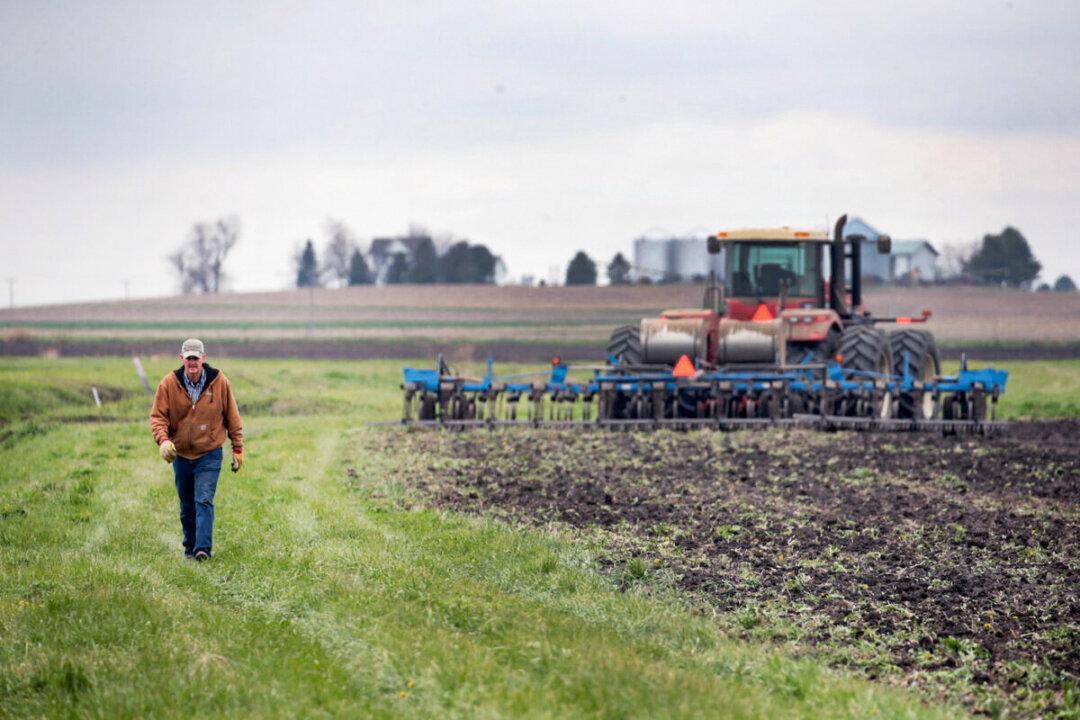 Europe’s Natural Gas Shortage Leading to Global Food Crisis