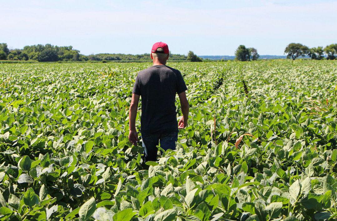 ‘Perfect Storm’ Hitting US Crop Planting Amid Talk of Shortages
