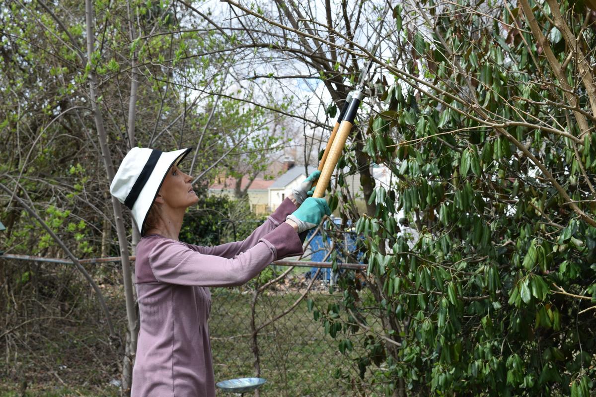 Back Yard Workout for Spring and Summer