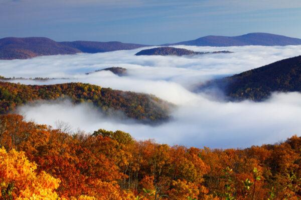 Above the clouds in Shenandoah National Park. (beklaus/E+/GettyImages)
