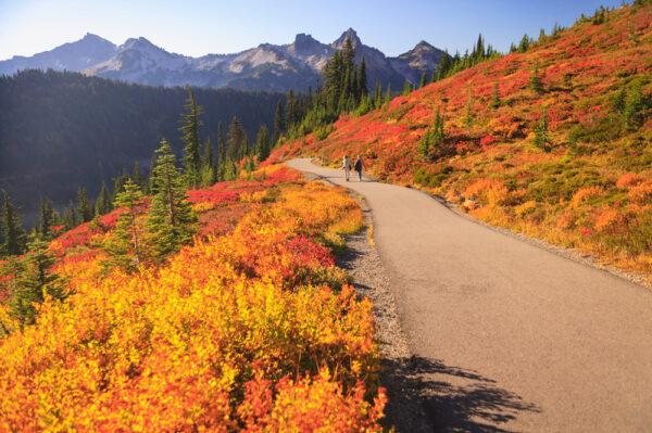 Fall colors on the trail near Paradise Lodge in Mt. Rainier National Park in Washington. (Stuart Westmorland/Corbis Documentary/GettyImages)