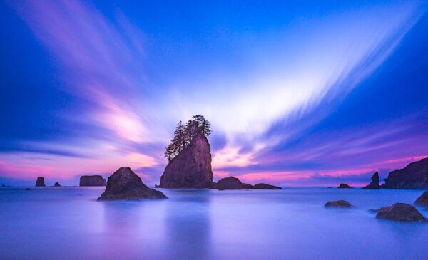 Sunset at the sea stack in Olympic National Park. (Checubus/Shutterstock)