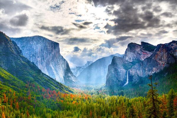 Yosemite Valley of Yosemite National Park in California. (Andrew Opila/Shutterstock)