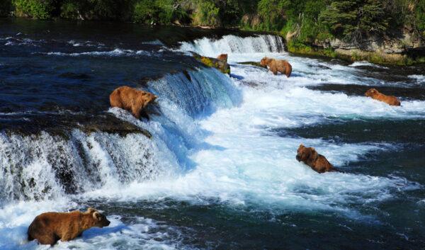Brooks Falls in Katmai National Park in Alaska. (Manamana/Shutterstock)