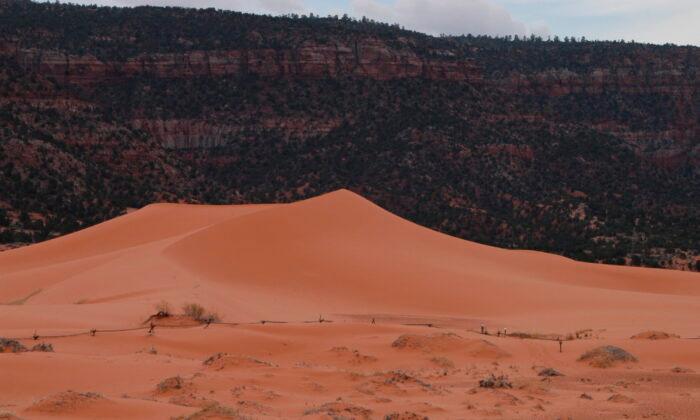 Boy Dies After Being Buried Under Sand Dune at State Park