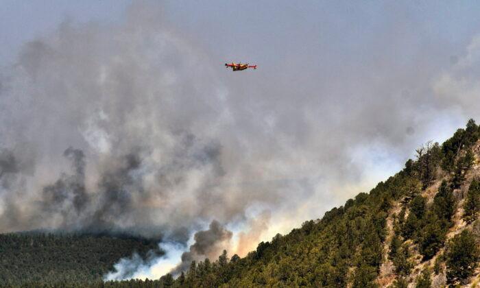 Biden Declares Disaster in New Mexico Wildfire Zone