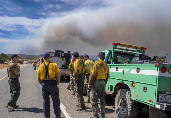Wildland firefighters from several agencies throughout the country wait along state road 283 to be sent into the Hermits Peak and Calf Canyon Fires burning just west of Las Vegas, N.M., (Roberto E. Rosales/Albuquerque Journal)