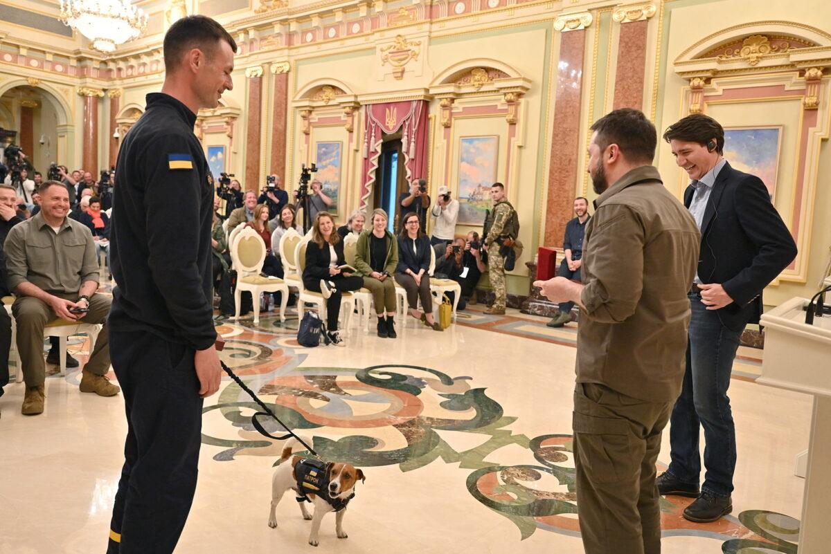 Canadian Prime Minister Justin Trudeau and Ukraine's President Volodymyr Zelenskiy award service dog "Patron" during a news conference, as Russia's attack on Ukraine continues, in Kyiv, Ukraine, on May 8, 2022. (Ukrainian Presidential Press Service/Handout via Reuters)