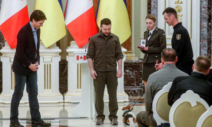 Ukraine’s Mine Sniffing Dog Patron Awarded Medal by Zelenskyy