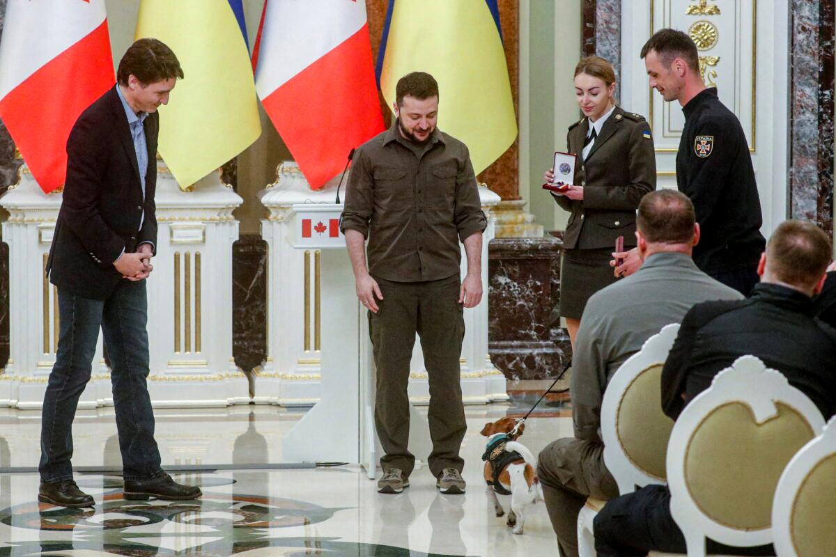 Ukraine's Mine Sniffing Dog Patron Awarded Medal by Zelenskyy