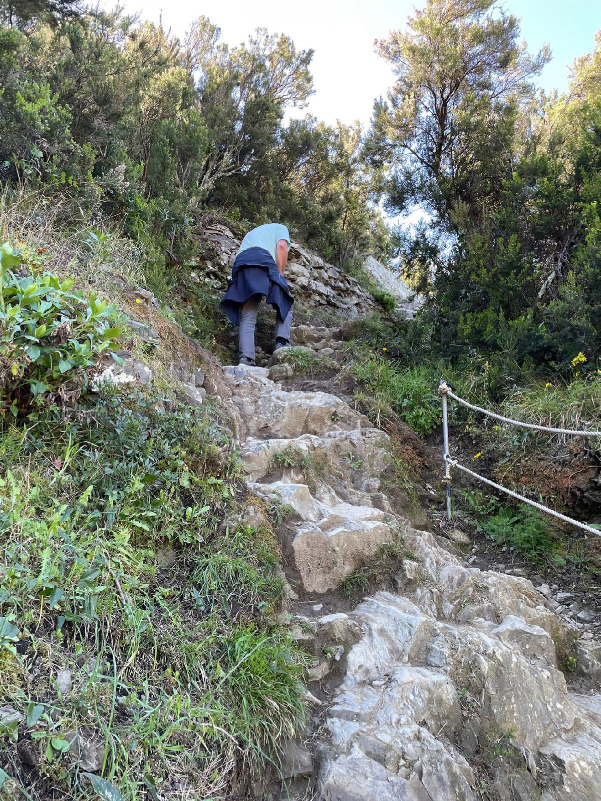 Rugged and extremely steep paths connect the five villages of Cinque Terre in Italy. (Photo courtesy of Lesley Sauls Frederikson)
