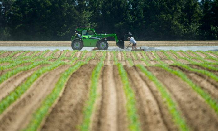 Canada Approves Millions in Temporary Interest Rate Relief for Farmers as Inflation Hedge