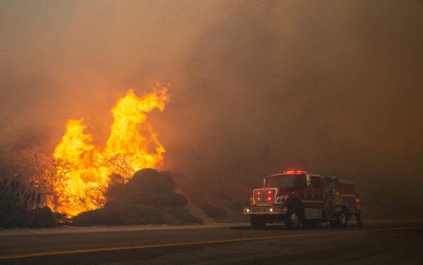 Firefighters work on extinguishing the Coastal Fire in Laguna Niguel, Calif., on May 11, 2022. (John Fredricks/The Epoch Times)