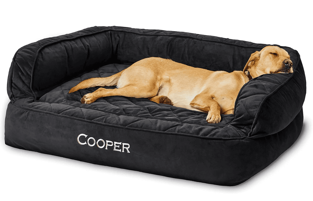 A memory foam bed with bolsters provides your pet with an ideal place to catch up on naps. (Courtesy of Orvis)