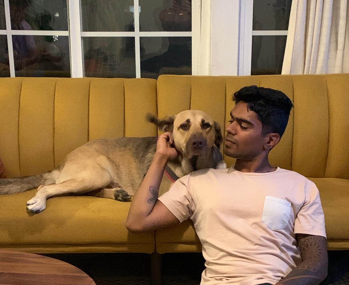 Chloe with Darvish in his house. (Courtesy of <a href="https://www.theanimalrescuemission.org/">The Animal Rescue Mission</a> <a href="https://www.instagram.com/theanimalrescuemission/">@theanimalrescuemission</a>)