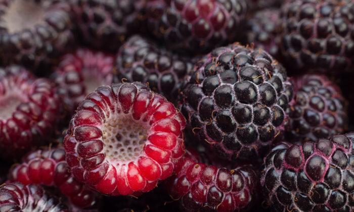 Surprising Health Benefits of Black Raspberries