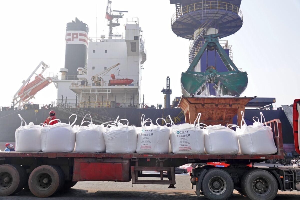 Workers load potassium fertilizer imported from Belarus by the state-run Sino-Agri off a ship at a port in Yantai in Shandong Province, China, on March 9, 2022. (Tang Ke/Future Publishing via Getty Images)