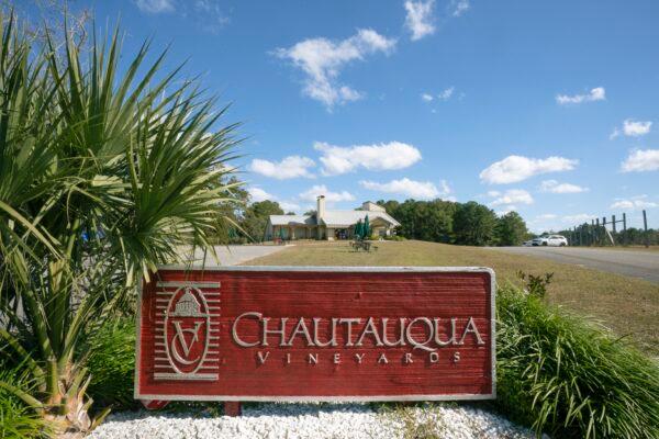  Chautauqua Vineyards is located in a quaint beach town that is often visited by hurricanes. (Michael Spooneybarger for American Essence)