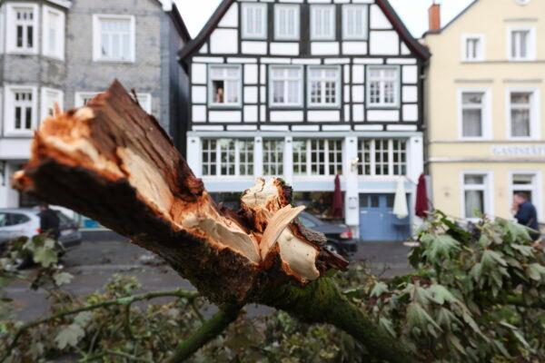 A snapped-off tree trunk from severe weather in front of a house facade in Lippstadt, Germany, on May 20, 2022. (Friso Gentsch/dpa via AP)