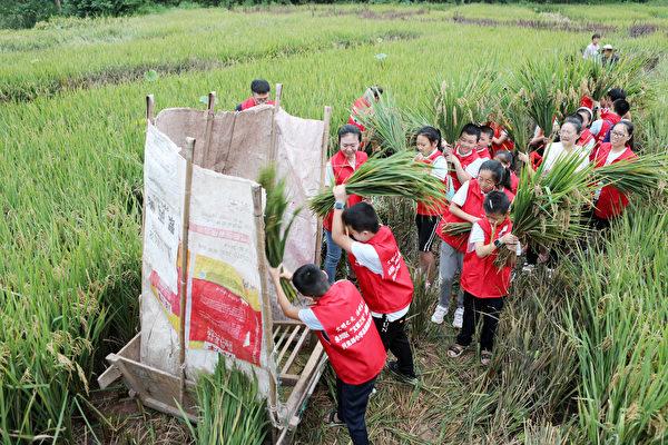 Beijing Re-Instates Labor Courses to Address Manpower Shortage: Former Professor