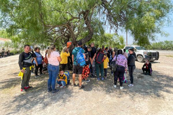 A large group of illegal immigrants crowd under a shady tree as Border Patrol agents organize transport near Eagle Pass, Texas, on May 20, 2022. (Charlotte Cuthbertson/The Epoch Times)