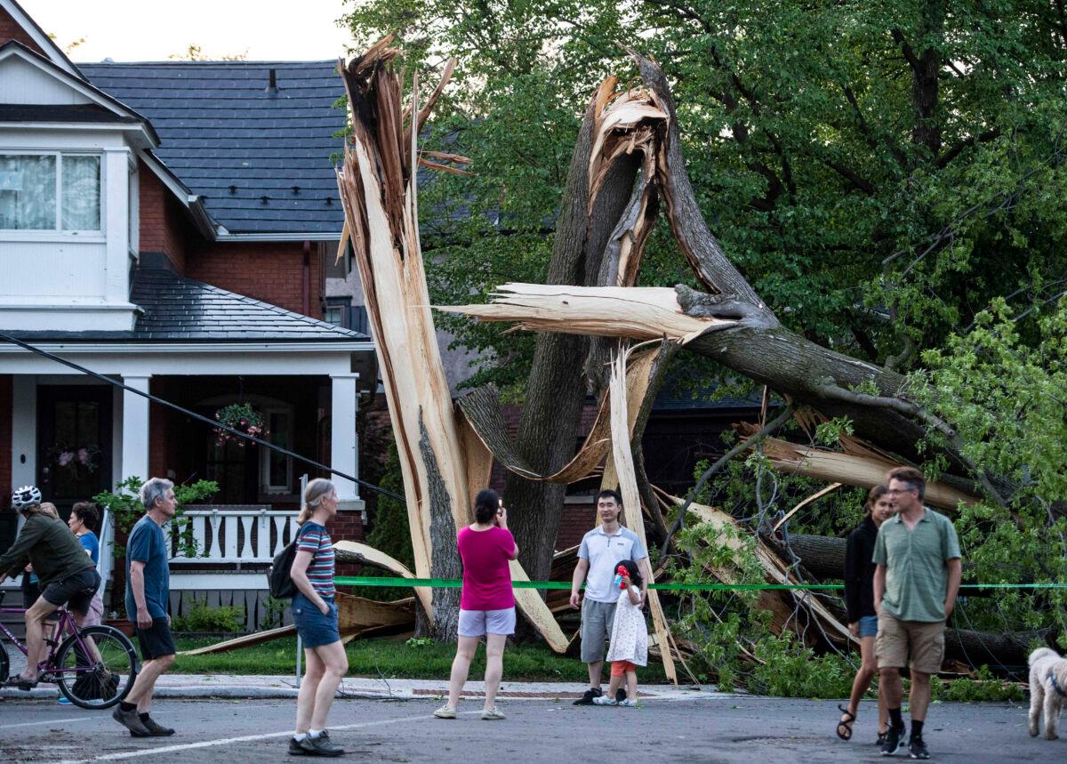 Residents and community members gather to look at a tree that was destroyed during a major storm in Ottawa on May 21, 2022. (Justin Tang/The Canadian Press)