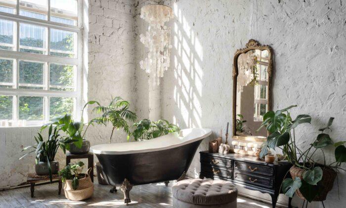 Bringing Nature Inside: This Year’s Top Home Design Trends