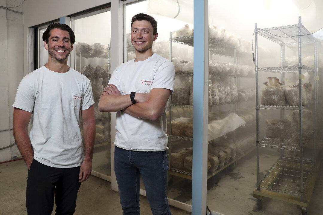 Chicago’s Top Fungi Guy Is out to Save the World, One Beautiful Mushroom at a Time