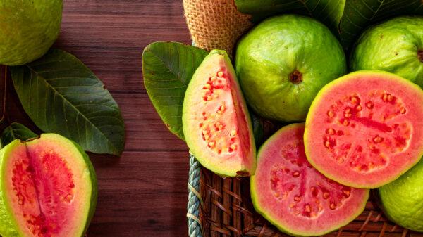 The fruit guava is high in vitamin C and promotes the formation of collagen. (Murilo Mazzo/Shutterstock)