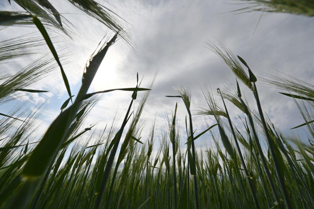 Russia–Ukraine War (May 25): Russia Ready to Set Up Corridor for Ships Leaving Ukraine With Food, With Conditions