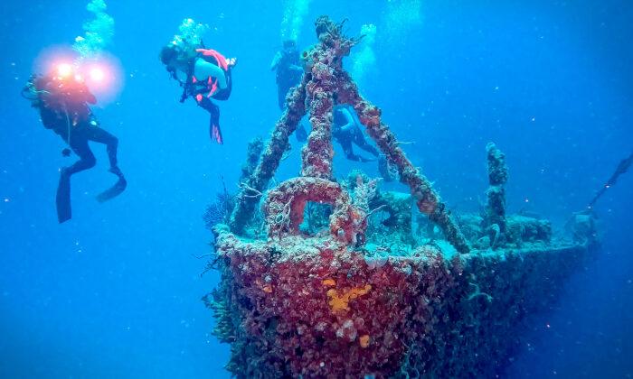 Divers Revisit Navy Ship Sunk to Make Artificial Reef in Florida Keys 20 Years Ago