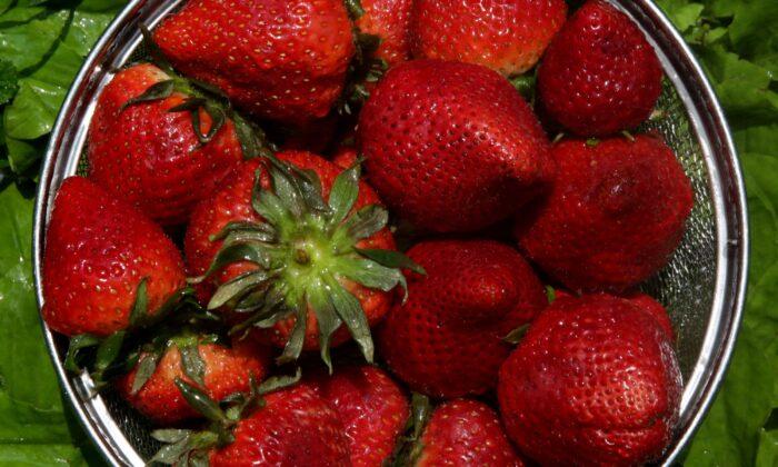Strawberries Are the Stars of the Season
