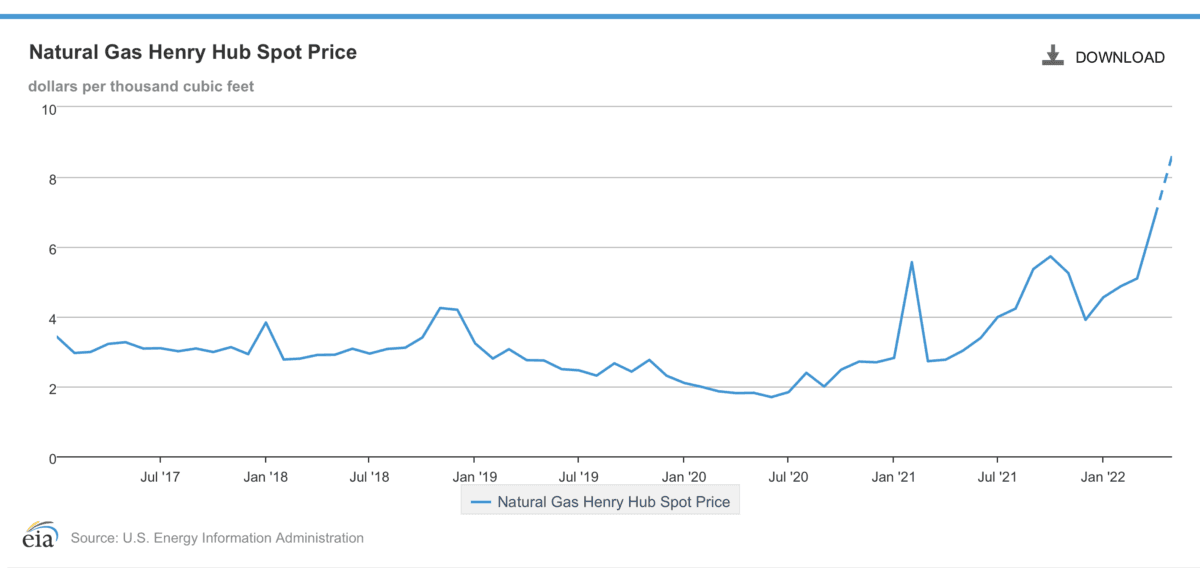 Natural gas Henry Hub spot price is a key market indicator. (EIA/Screenshot via The Epoch Times)