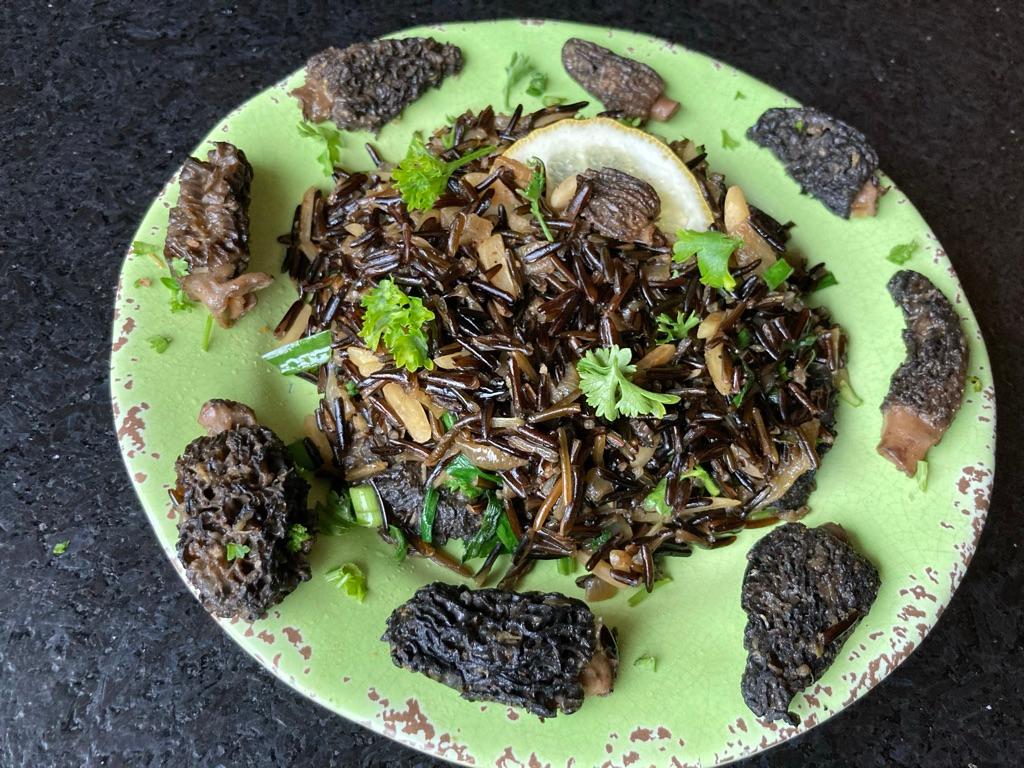 Morels need sherry as much as they need butter; this decadent, earthy sauté combines both, and adds wild rice and sage for good measure. (Ari LeVaux)