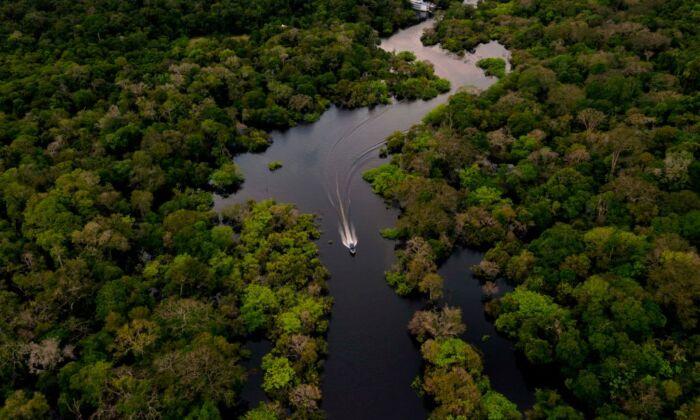 Brazilian President’s Approach to Amazonian Deforestation Leans on ‘Old Corruption Schemes’ and US Funding: Analysts