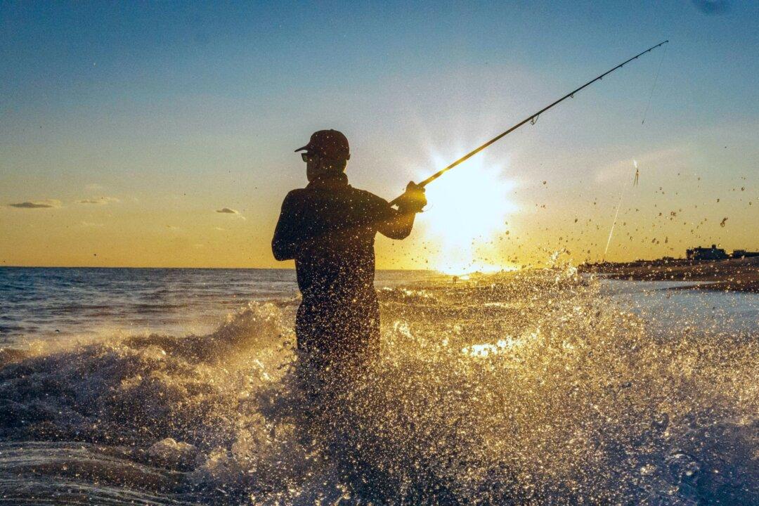 Fishing for Adventure: For the Ultimate Vacation, Book a Luxury Fishing Charter