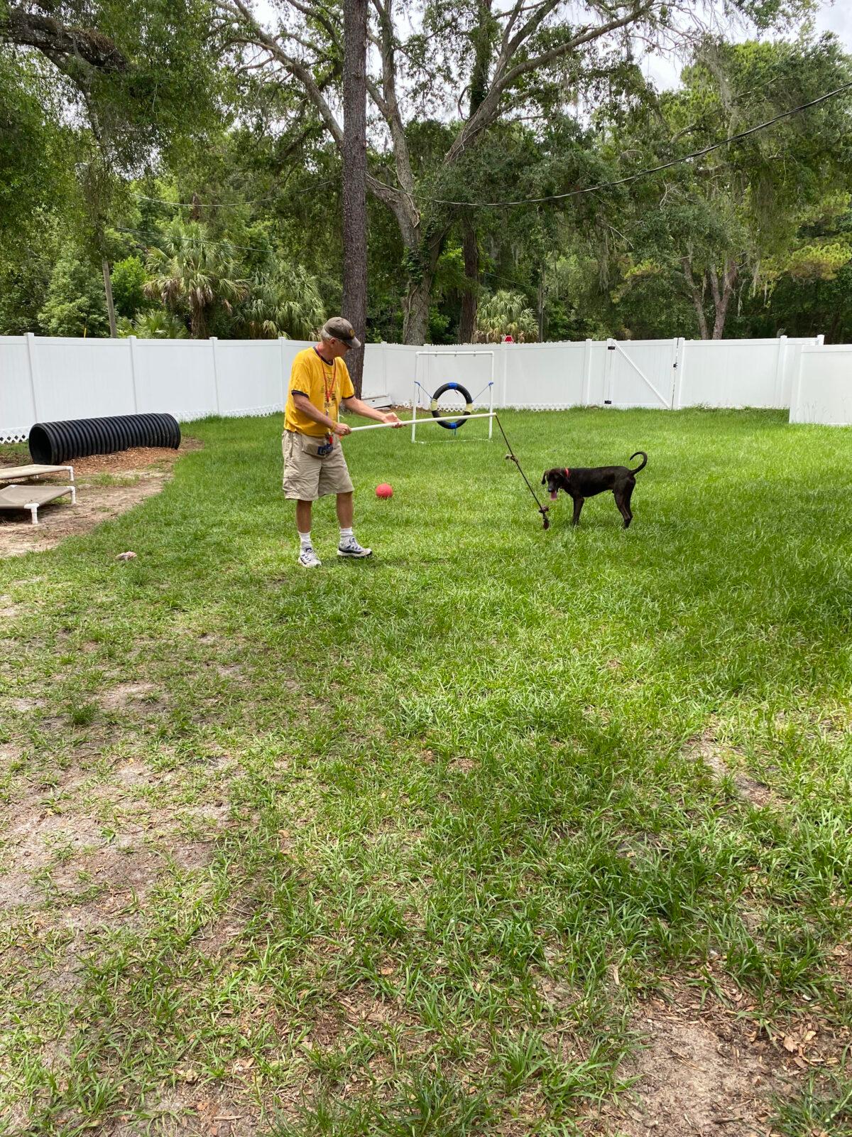 Ben Moser, a volunteer at the Humane Society of the Nature Coast in Brooksville, Fla., plays with one of the shelter dogs in an outdoor enclosure on May 27, 2022. (Patricia Tolson/The Epoch Times)