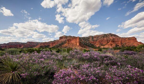 Caprock Canyons State Park from "Deep in the Heart." (Fin and Fur Films)