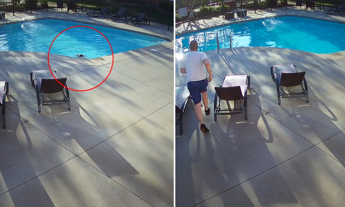 VIDEO: 12-Year-Old and Dad See Commotion Near Swimming Pool, Rush to Save Autistic Toddler Drowning