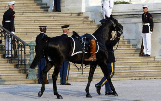 The riderless horse memorial is used as a final farewell for some law enforcement officers and soldiers, in this case at the funeral of former president Ronald Reagan on June 9, 2004. The empty boots facing backward is a solemn gesture symbolizes the final trip of a soldier who will ride no longer. (Timothy Clary/AFP via Getty Images)