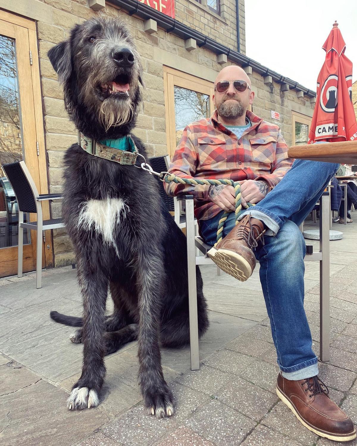 Mav with Wilson. (Courtesy of <a href="https://www.instagram.com/austonley_irish_wolfhounds/">Austonley Irish Wolfhounds</a>)