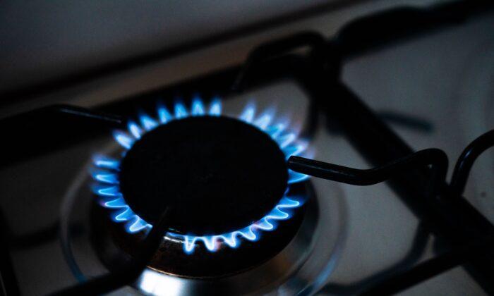 Lawmakers Warn Gas Stove Ban Would Eliminate Affordable Cooking Method