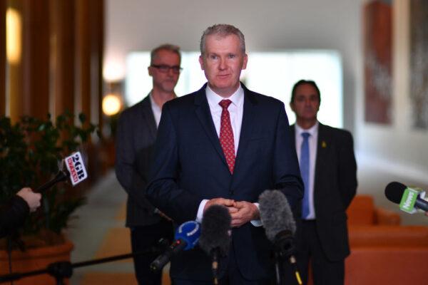 Minister for Employment Tony Burke during a press conference in the Mural Hall at Parliament House in Canberra, Australia on June 17, 2020. (Sam Mooy/Getty Images)